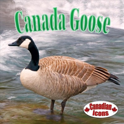 Canada goose / Aaron Carr.