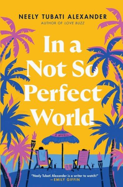 In a not so perfect world : a novel / Neely Tubati Alexander.