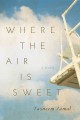 Go to record Where the air is sweet : a novel