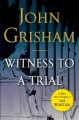 Witness to a trial : a short story prequel to The whistler  Cover Image